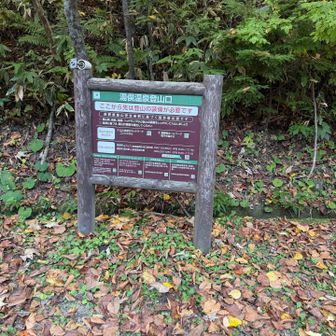 登山口
ここから高瀬ダムまで1時間弱