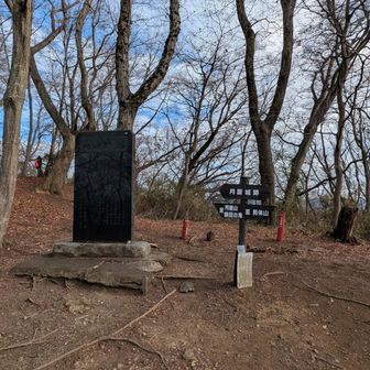 月居山頂。月居城跡とはあるが、山頂標はない。