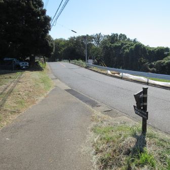 車の量が多いので歩行注意