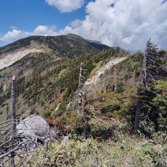 少し稜線を北上すると景色ひらけた🤩　そして南越百山だいぶ近い🤤　一泊ならこのまま南越百山を経て越百小屋(今は避難小屋)で泊まれるなぁ(笑)