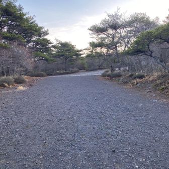 まず、広い参道を登ります。