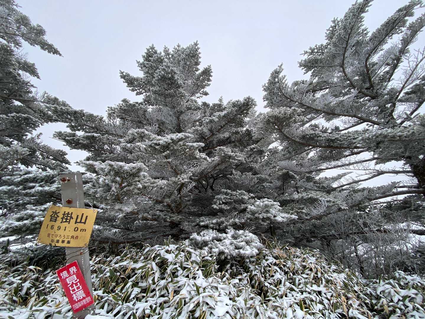 沓掛山登頂
ハードシェルを着たまま登ったので汗だく
ハードシェル、メリノウール長袖シャツを脱ぎジオラインの上に防風シェルを着て下山。
