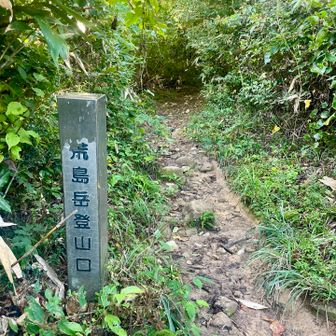 いきなりコンクリートの急坂
からの登り続きでこの登山口まで
40分くらいかかるってやつ。