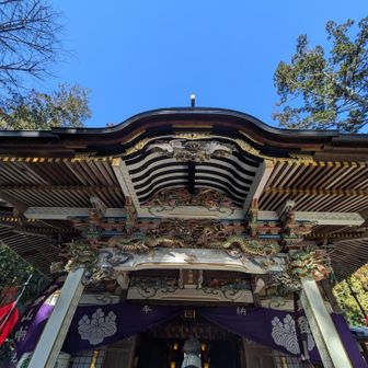 宝登山神社
まだまだ参拝の人が多い
