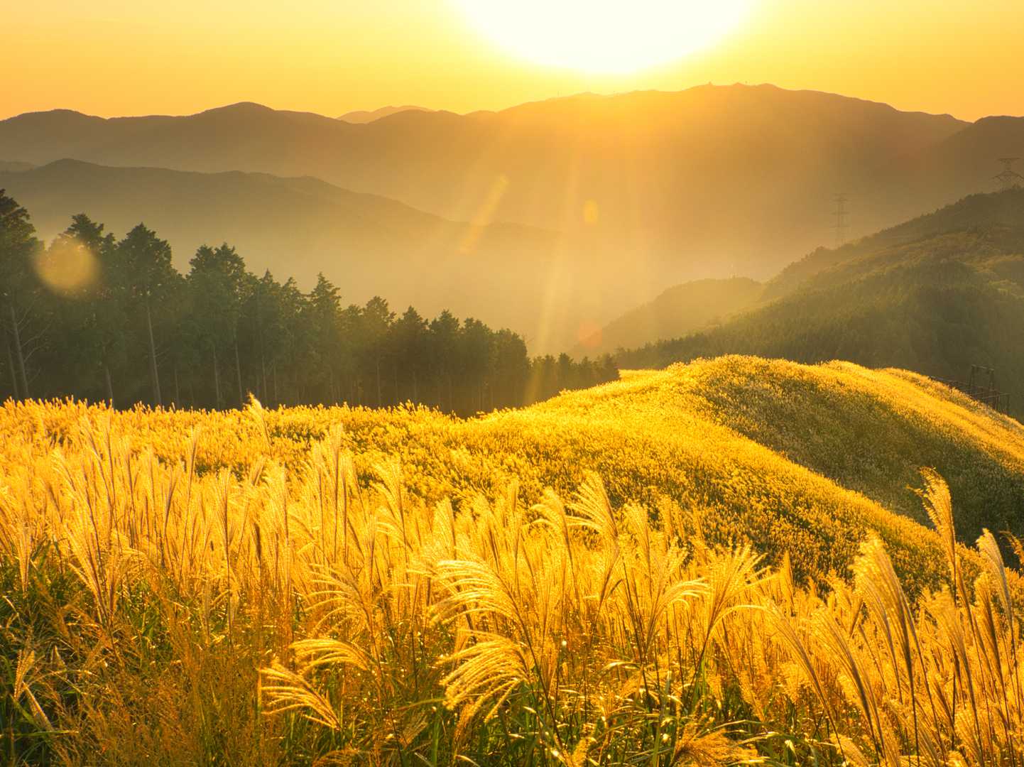 風の谷のナウシカの世界みたい(*^^*)
岩湧山山頂にて