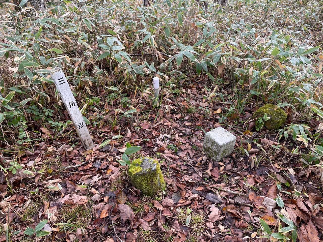 三角点あります。