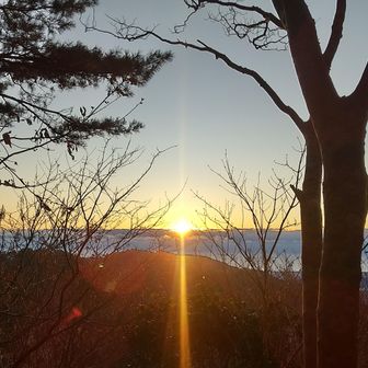 今年のギャラリーは 二本松からお越しのM島さんと私だけ