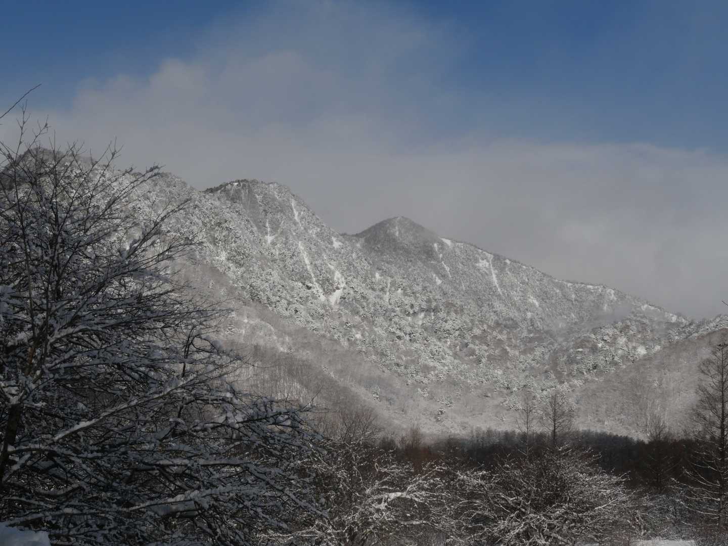 高山 周回コースの写真