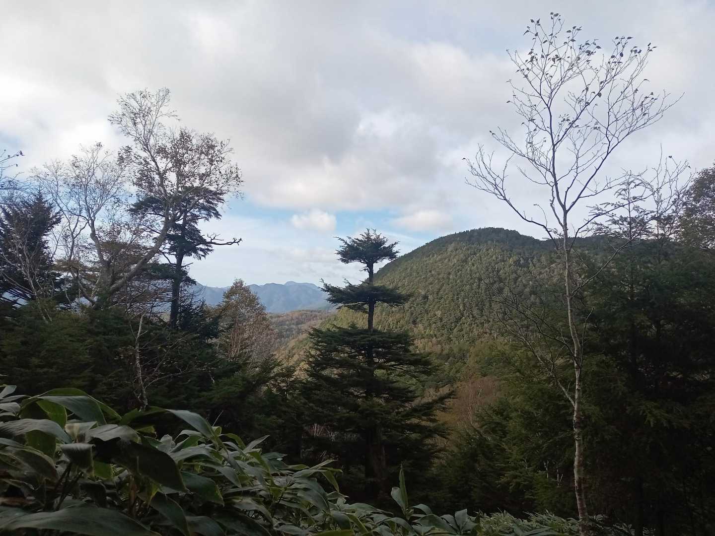 地味〜な登りを振り返ると…
よく分からない山