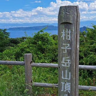 柑子岳山頂。254m