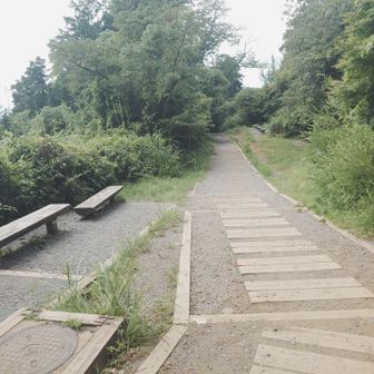 登山道