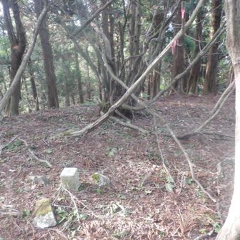 三角点＆グリーンピーク、山名プレートは針金は残っているけれど撤去された感じで見当たらず、ここでＵターン