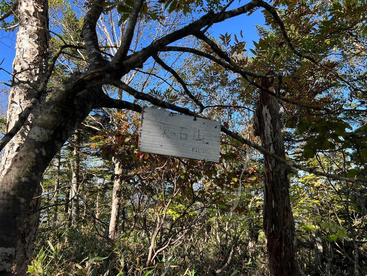 栗石山の頂上

頂上スペースはほぼないです。

大川峠→栗石山がまぁまぁ急登ですが、
座る所はないので
立ったまま休憩しながら登る感じになります。