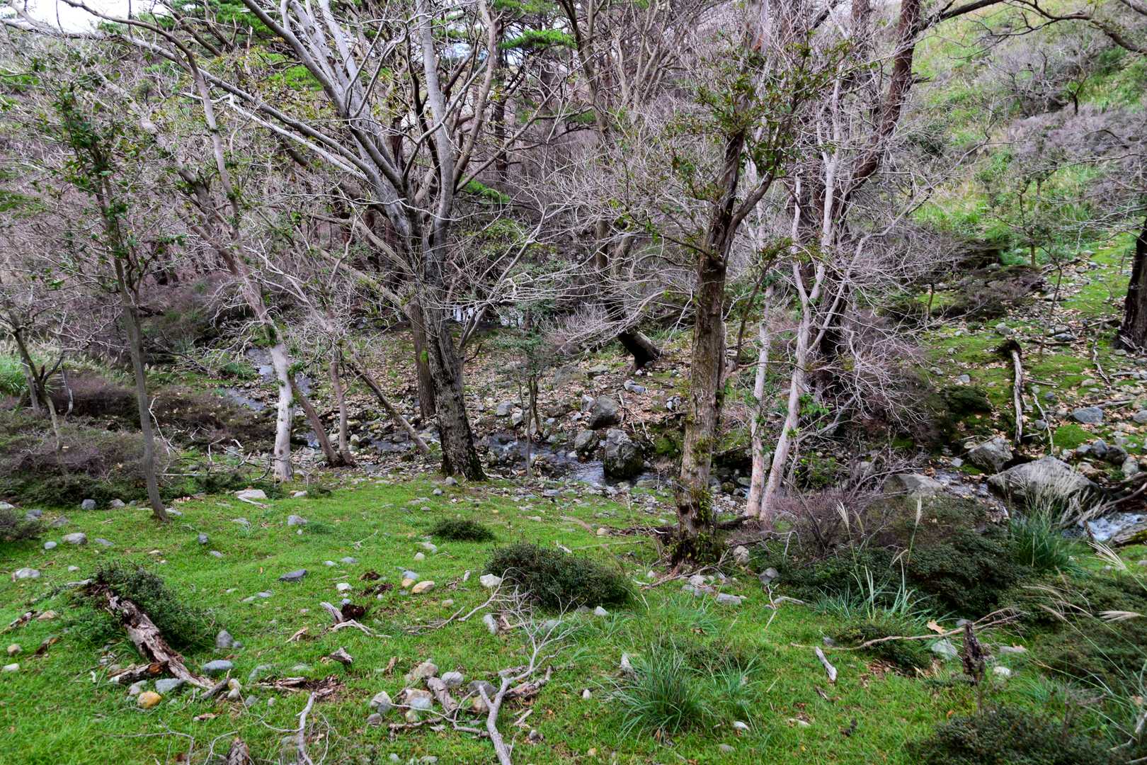 韓国岳 | 爆裂火口と霧島連山のパノラマを一望する百名山の王道コースの写真