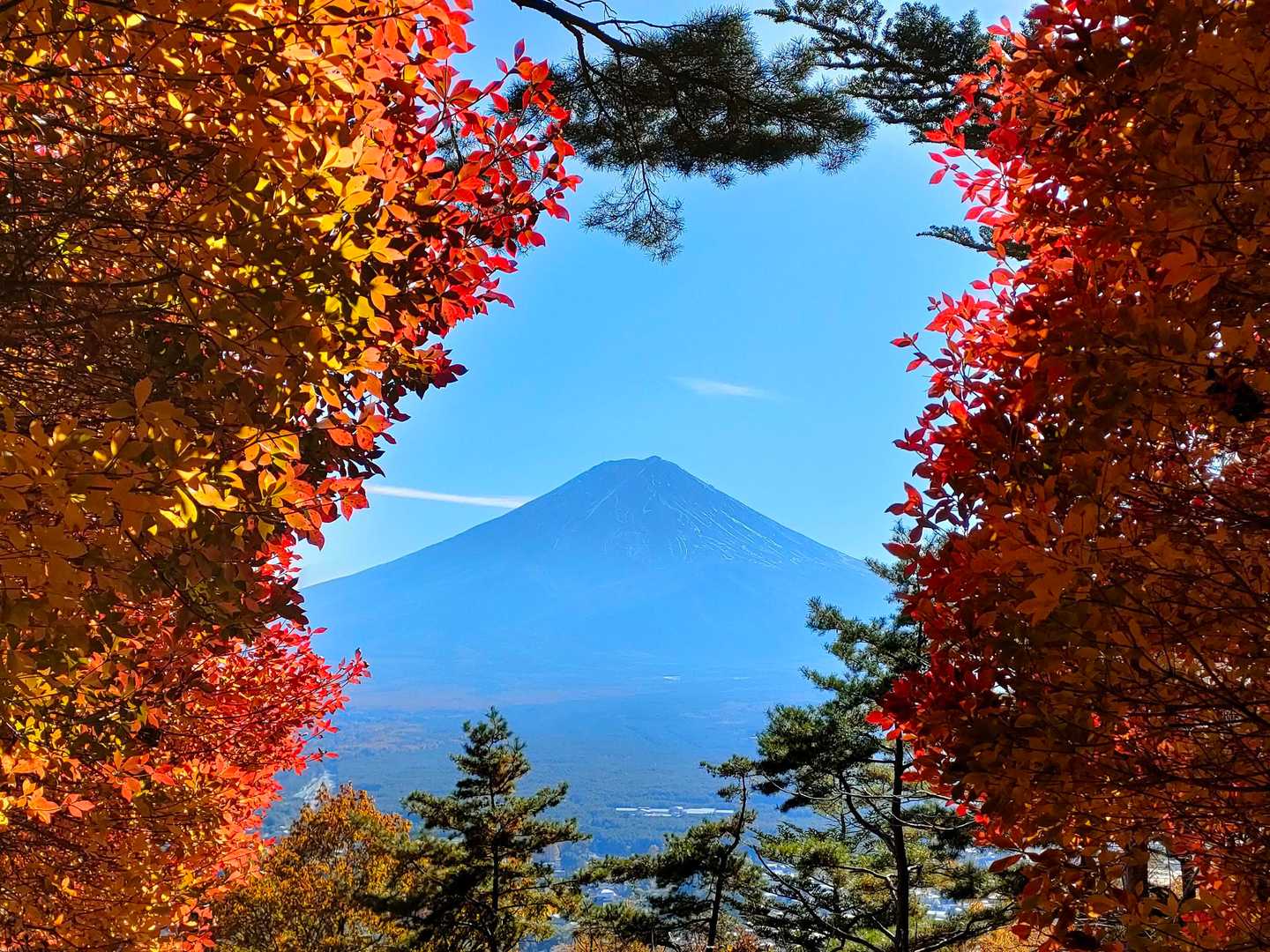 下吉田駅-新倉富⼠浅間神社-新倉山-霜山-天上山-富士見台 縦走コースの写真