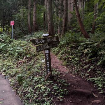 少し歩いて登山口に辿り着く。ここからが本当のスタート▶️