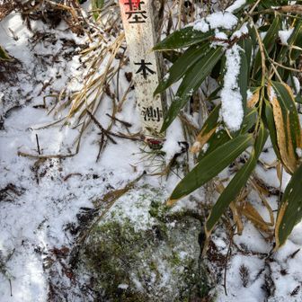 到着🔺
一等三角点
点名：笹森山
標高：594.2ｍ
🔺16/24
残り8座
(●＾o＾●）
ぎりっと進まない😂