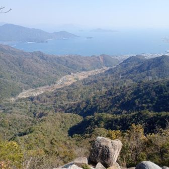 海べりより内陸へ入っているので眺めはちょいイマイチ。