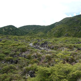 坪庭に降りてきました。振り返って。