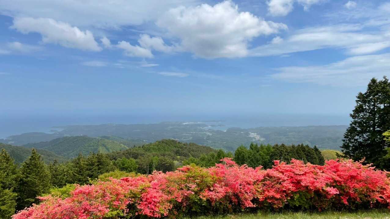 田束山の写真
