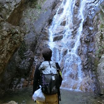 TORO（ぽんこつ）