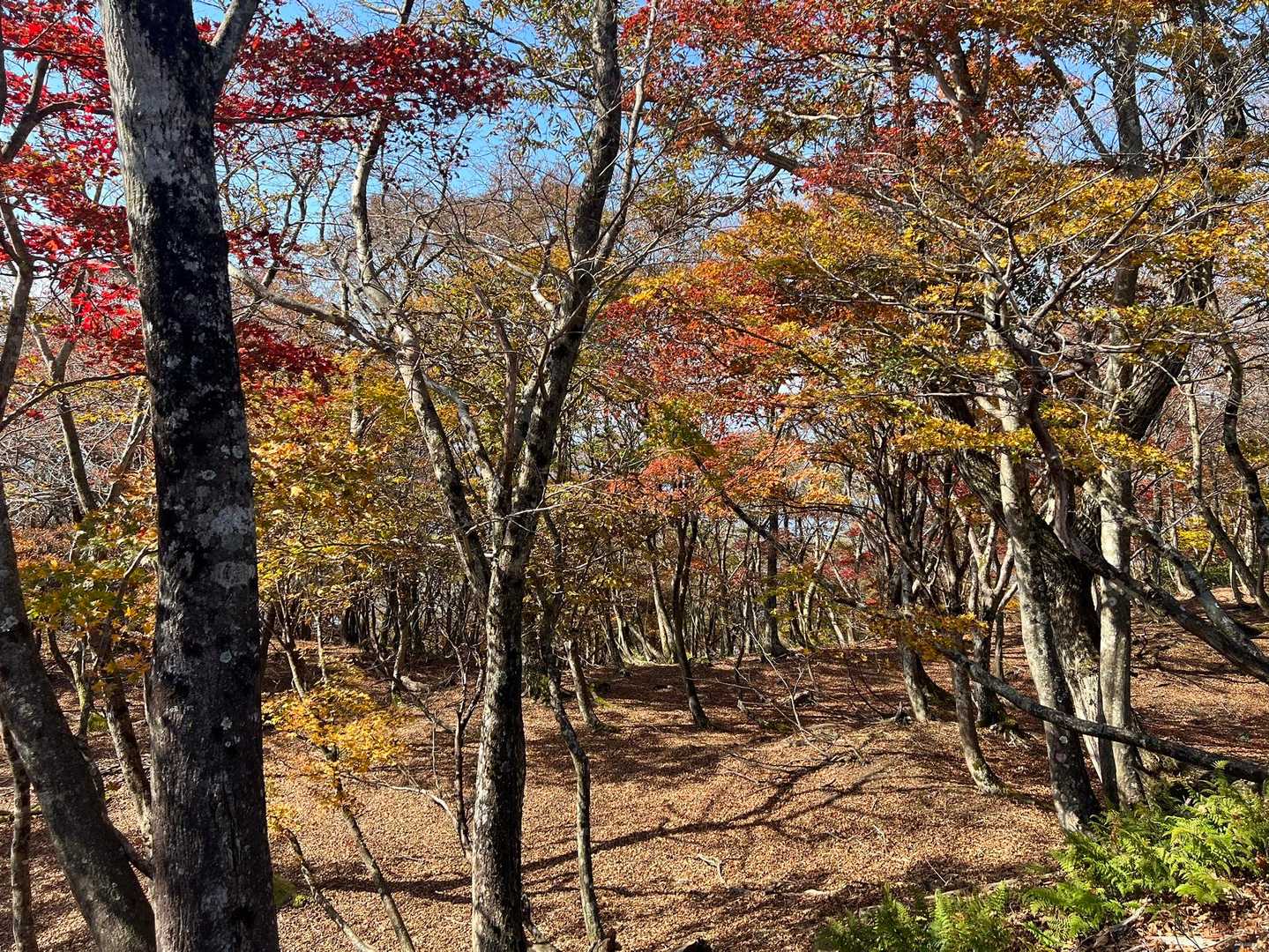 静かな山頂…