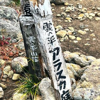急登が終わってからも、⤴️⤵️の繰り返し。アラスカ庭までが長いし、この先もまだまだ長い

平（たいら）と呼ばれますが、人間が小さいってことですね