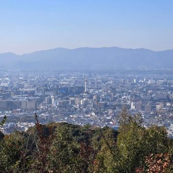 展望台から
京都タワー