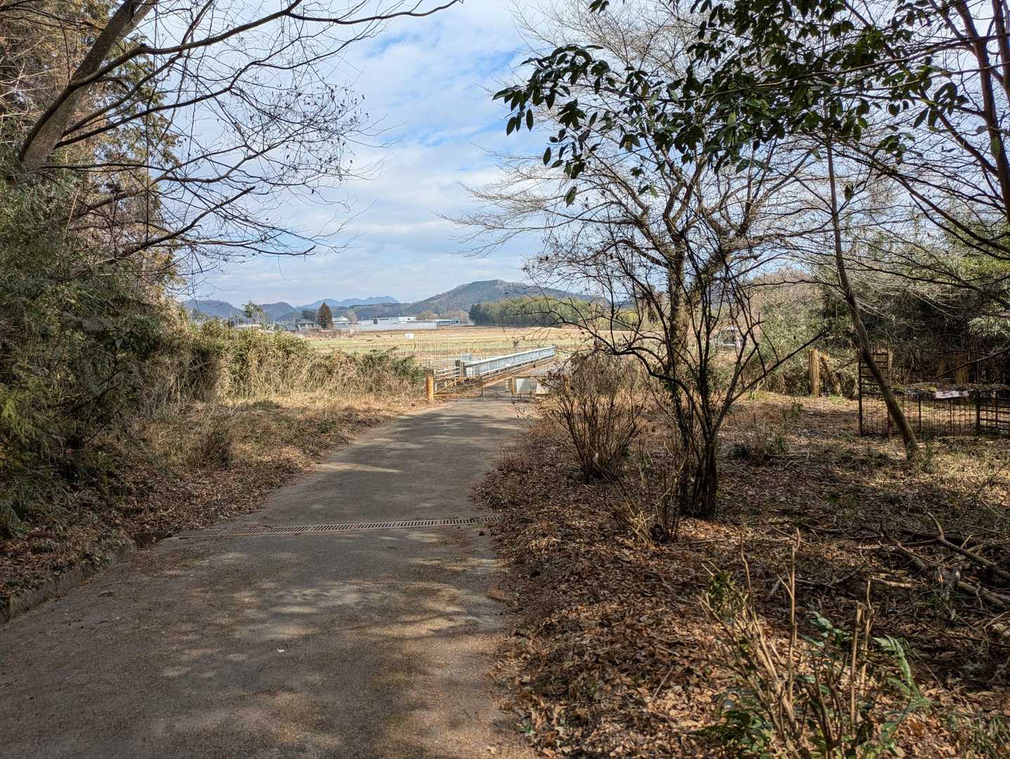 戻ってきました