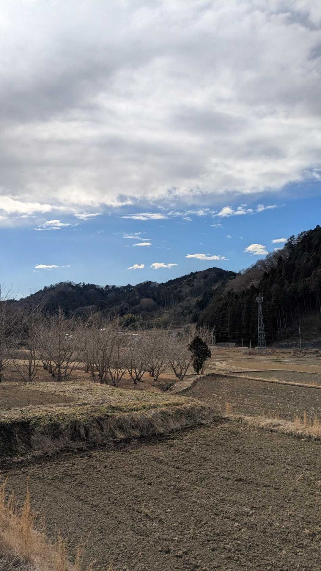 松倉山 往復コースの写真