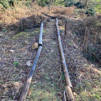 なんとなく辿っていくと