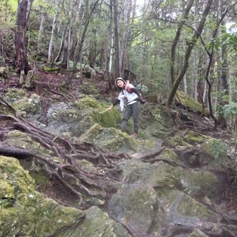 三上山への道
岩や根っこなどを登る〜
岩がごつい
りえままさんはタッタカターと登ります