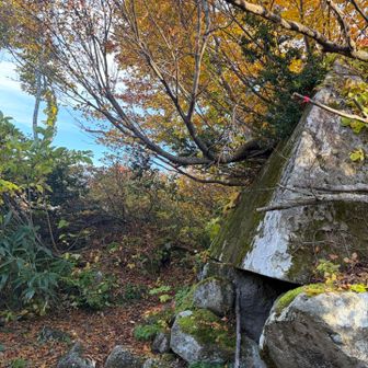 伯母岩に戻りました