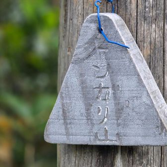 ちょっとｶﾜｲｲ。