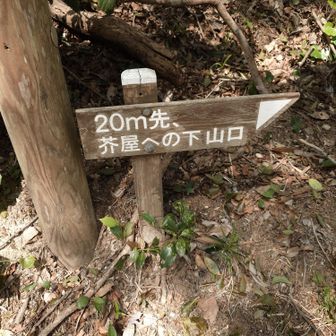 立石山登山口🅿️へ。