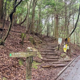 舗装路が終わってここから登山開始👣