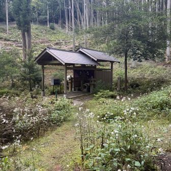 水不足の地域もありますが、雨社に立ち寄り、秋の豪雨除けをお願い🙏 降っても穏やかな降りになりますように😌