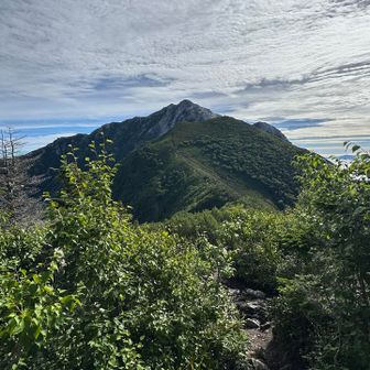 双児山山頂から
THE 甲斐駒ヶ岳!