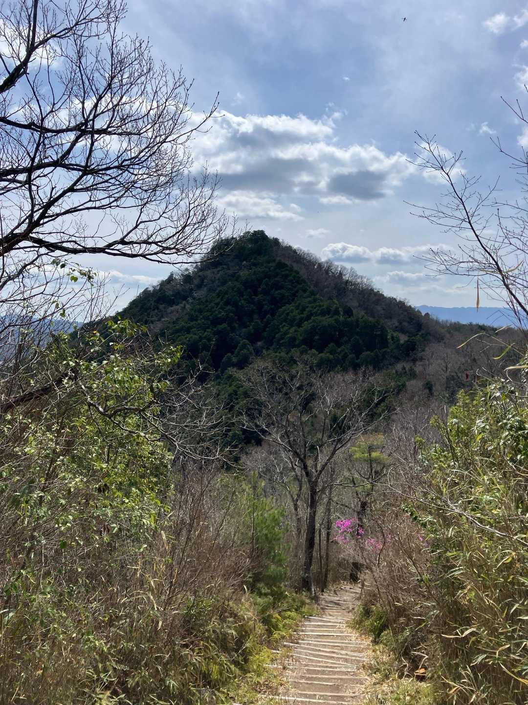 振り返り有馬富士⛰️