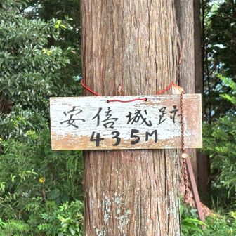 安倍城址直前は結構な急登でしたが、無事到着〜