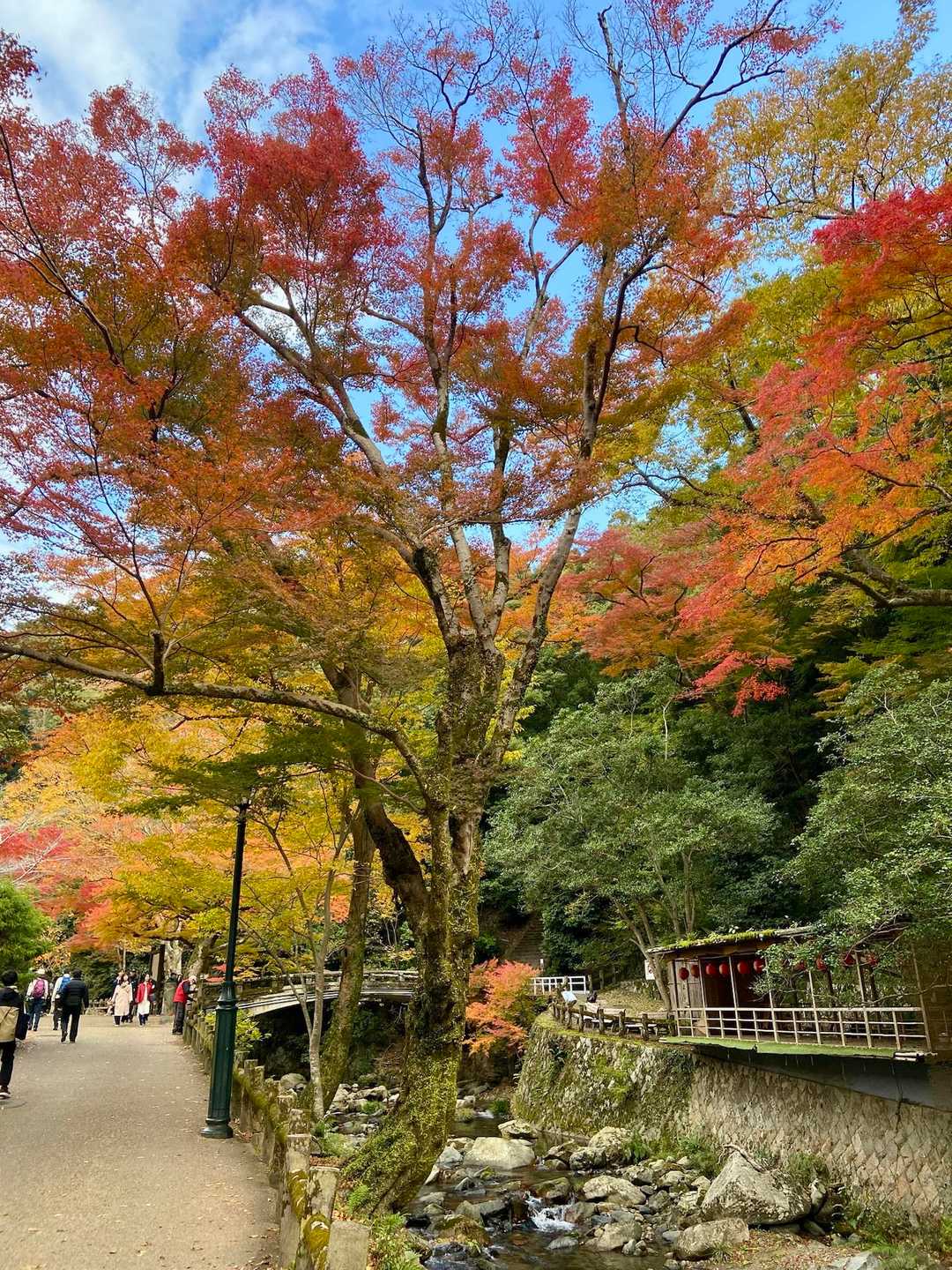 天上ヶ岳-石子詰登山口 周回コースの写真