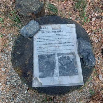 展望の丘の手前分岐の開けた場所に去年のですが熊の記事が。