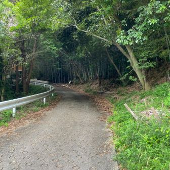 右を見てみた
こっちに進む