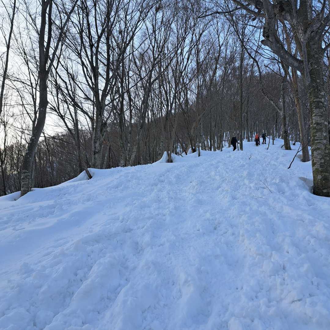 ずっと続く急登