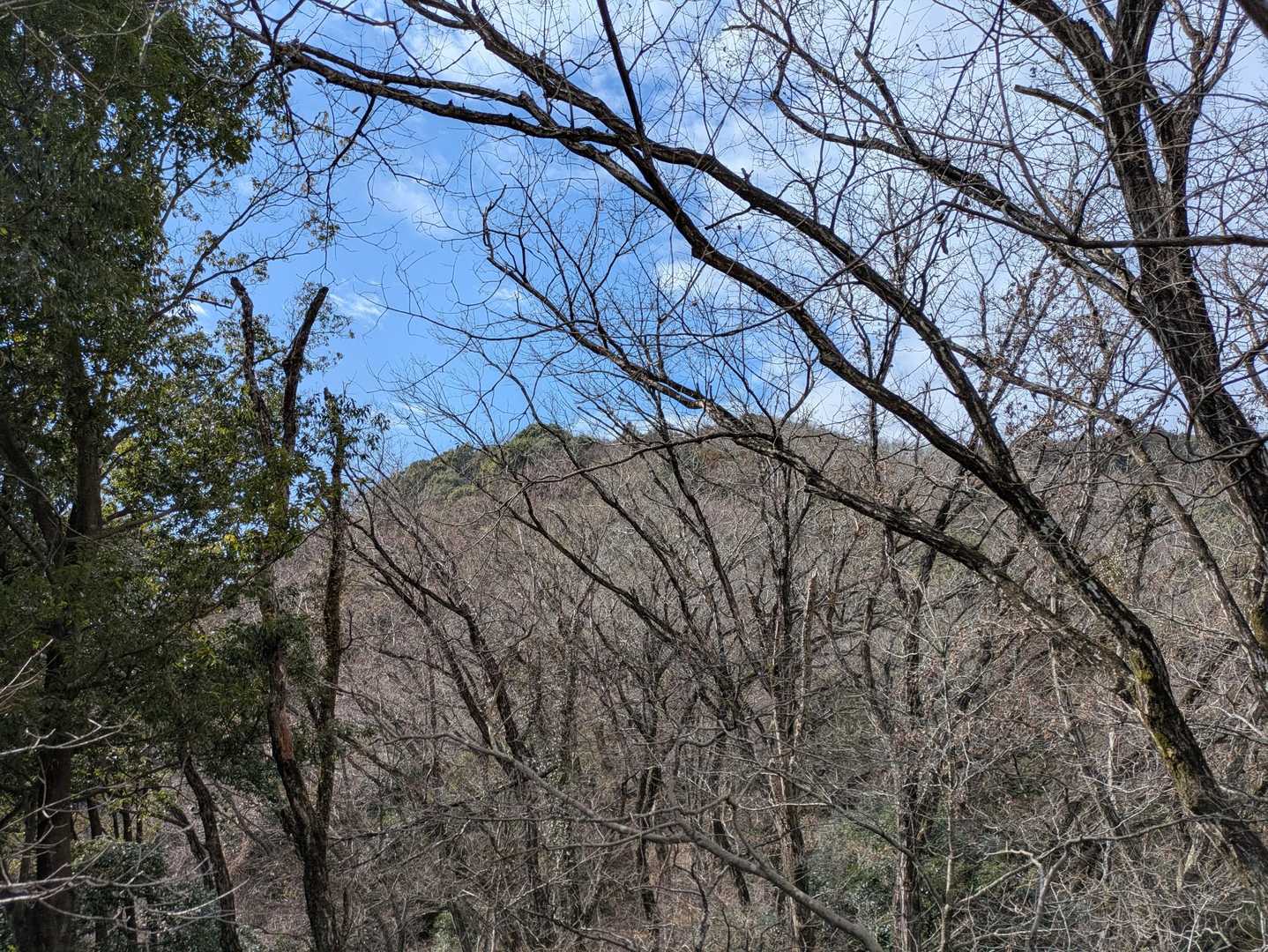 歩いてきた山々。あそこへ登り返し…