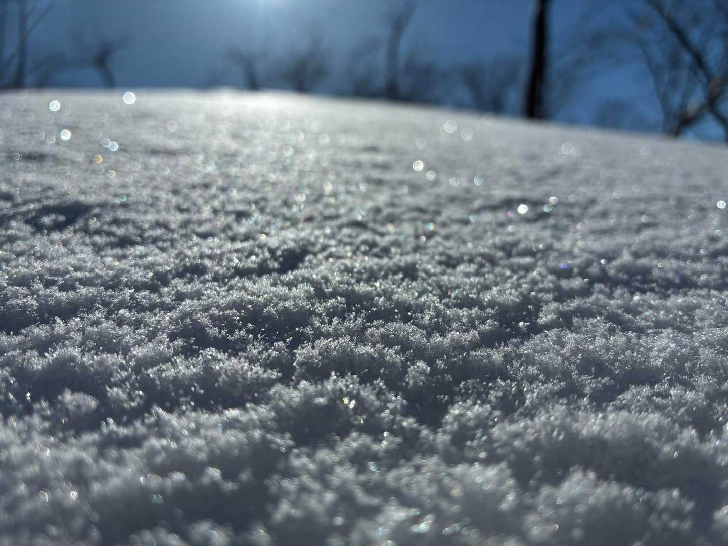 ✨