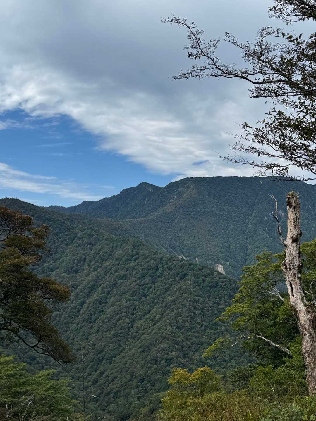 八経ヶ岳が見えました。
