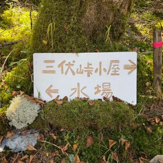 分岐にある案内標識