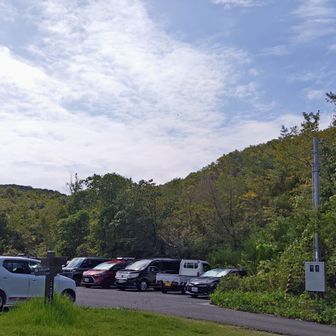 雨の予報が好転した週末🍀
待ち合わせの10時も駐車場満車🚗
夜勤明け直行💨急いで準備してスタート✨🥰
今日は早々にお友達にも出会いました！みんな頑張ってる😌