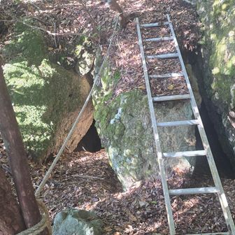 このはしごを下りてきて右奥を振り返るとあったよ　少し探した